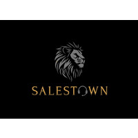 SalesTown logo - Similar company to Retainuser® Crm