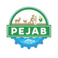 PEJAB logo - Similar company to Projet Transforme Rdc