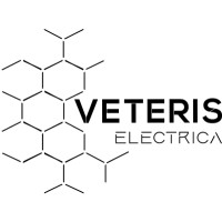 Veteris Electrica Pvt Ltd logo - Similar company to Evolve Cpd