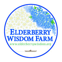 Elderberry Wisdom Farm logo - Similar company to Everything Elderberry