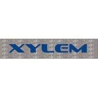 Xylem