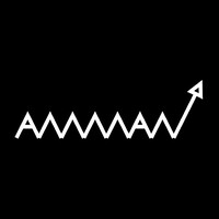 AMMAN LLC logo - Similar company to Amman