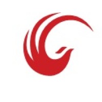 Phoenix Vision Consultant Group logo - Similar company to Unsw