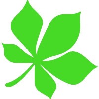 Chestnut Infrastructure logo - Similar company to Ibs Schools