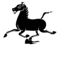 Northwest China Council logo - Similar company to Kepingai