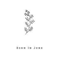 Born In June logo - Similar company to Afibel
