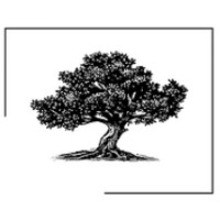 Olive Tree Advisors logo - Similar company to Ambar