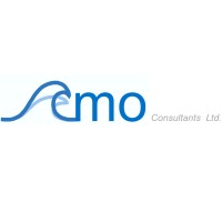 CMO Consultants Ltd. logo - Similar company to Riggs Associates Ltd.