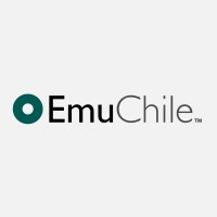 Emuchile S.A logo - Similar company to Efilabs