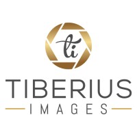 Tiberius Images logo - Similar company to F Strateji Danışmanlık I Finssol Usa