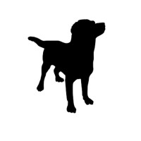 Black Dog Sales Group logo - Similar company to Mtnstuff
