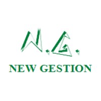 N.G New Gestion s.a.s.
