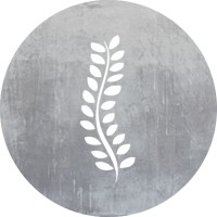 Honest Chiropractic