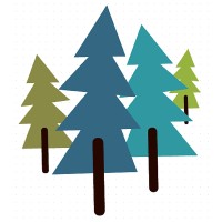 Camp Curiosity & Curiosity Academy