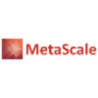 Metascale Llc