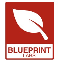 Blueprint Labs logo - Similar company to Blueprint Labs