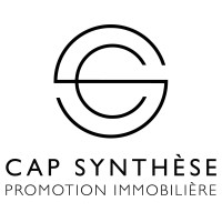 Cap Synthèse logo - Similar company to Minerve
