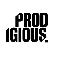PDG Africa logo - Similar company to Constructive Labs
