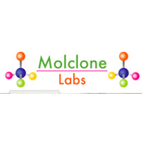 MOLCLONE LABS PRIVATE LIMITED logo - Similar company to Bridge Keys
