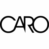 CARO Consulting logo - Similar company to Code Dog Technology Group