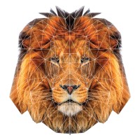 Leu Communications
