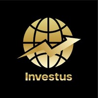 Investus Capitals logo - Similar company to Berlindao