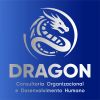 Dragon Consultoria Organizacional Ltda. logo - Similar company to Starvision Assessoria Em Comércio Exterior