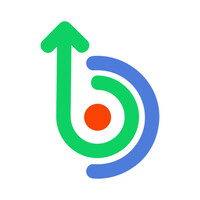 Bisaya Digital logo - Similar company to Dilaab Digitals