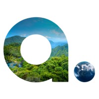 Aila logo - Similar company to Kiddokitchen