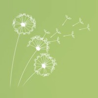Memory Treasures by Smallprint logo - Similar company to Silver Pet Prints