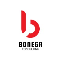 Bonega Consulting logo - Similar company to Conimcert