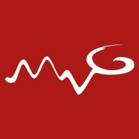 M.V.GEISSER GmbH logo - Similar company to Edon Gmbh