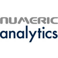 Numeric Analytics logo - Similar company to Numeric Solutions