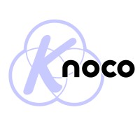 Knoco International logo - Similar company to Risk Training Professionals