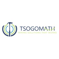 TsogoMath logo - Similar company to Syfer Lab