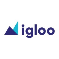 Igloo Trading Solutions logo - Similar company to Cquantt