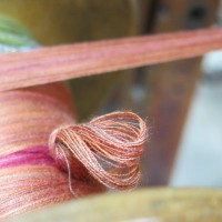 Passementerie Herma Partner AG logo - Similar company to Nastrificio Cf