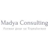 Madya Consulting logo - Similar company to Ducretet Network
