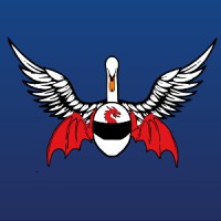 Swansea University Race Engineering logo - Similar company to Glasscode Technology Services