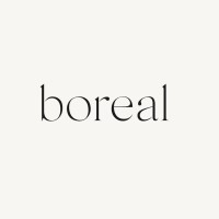 Boreal Boutique Agency logo - Similar company to Clickmedix