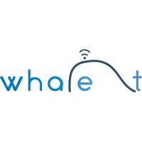 Whale it Agency logo - Similar company to 🐳 Whale It