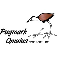 Pugmark Qmulus Consortium logo - Similar company to Scopx Interactive Systems