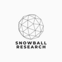 Snowball Research logo - Similar company to Snowball Analytic