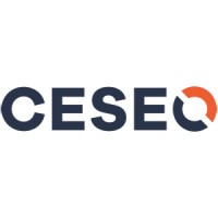 Ceseo srl logo - Similar company to 2Emme Sicurezza
