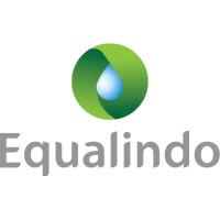 Equalindo Group logo - Similar company to Nxtgen Technologies