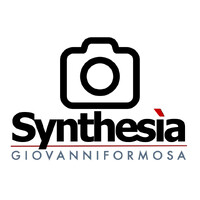 Synthesia logo - Similar company to M.I.L.K. - Minds In A Lovely Karma