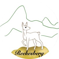 Administratiekantoor Reekesberg logo - Similar company to Administratiekantoor Sterpo Support