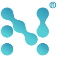 Netmarko logo - Similar company to Mohsen Group