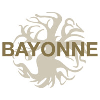 BAYONNE logo - Similar company to Aid Lab