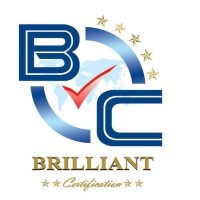 Brilliant Academy logo - Similar company to Five Fingers Consulting